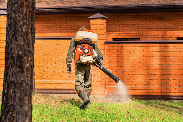 Trusted Cockroach Control service in Fern Park, FL - Nex Pest Control